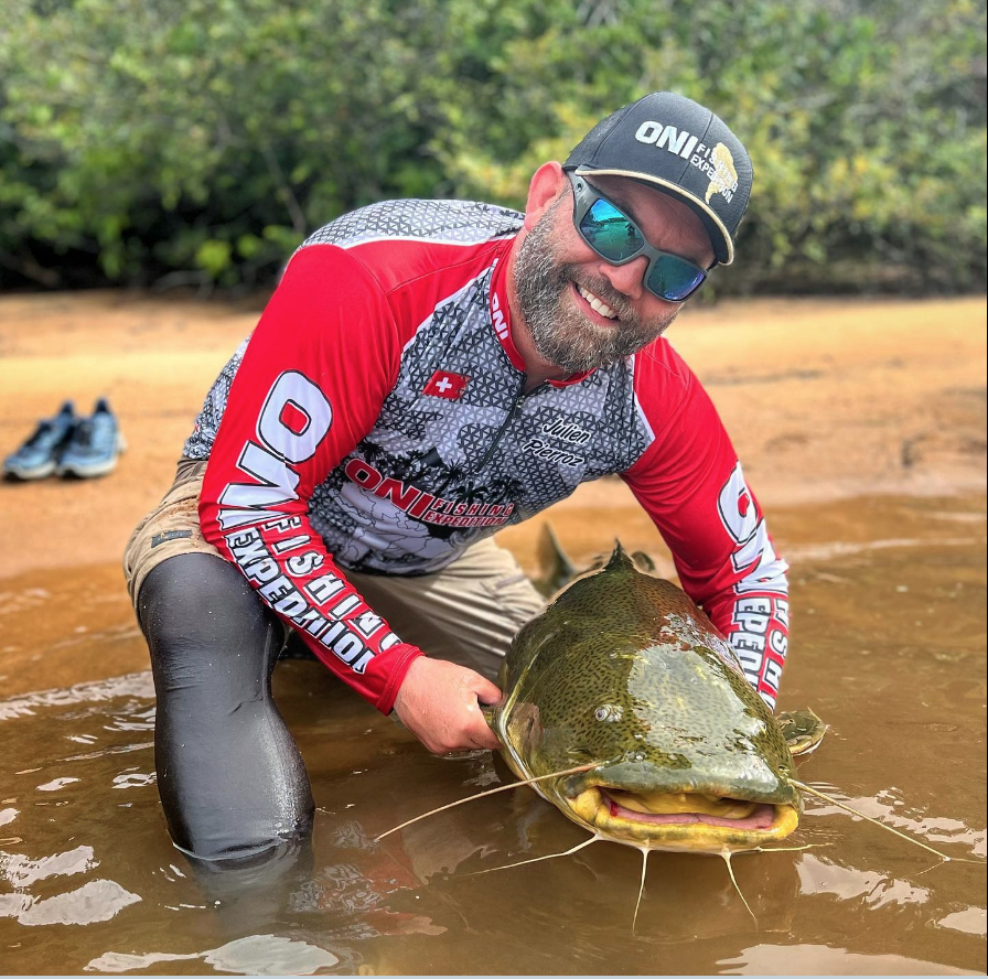 Camiseta Q53 con llampuga dorado sobre un fondo colorido y verde.